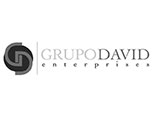 Logo Grupo David